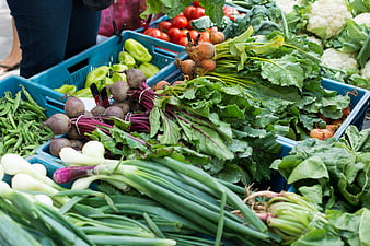 Fresh organic vegetables in blue crates at a farmers market