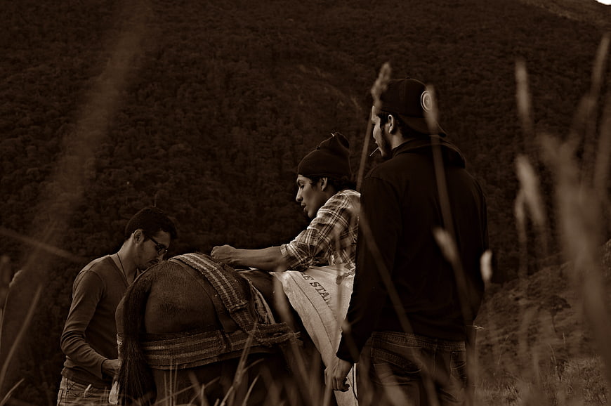 Three Men Preparing Horse in Sepia Toned Rural Landscape