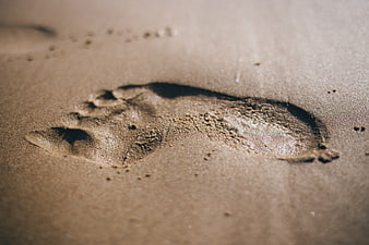 Close-up of a single footprint in wet sand on a beach