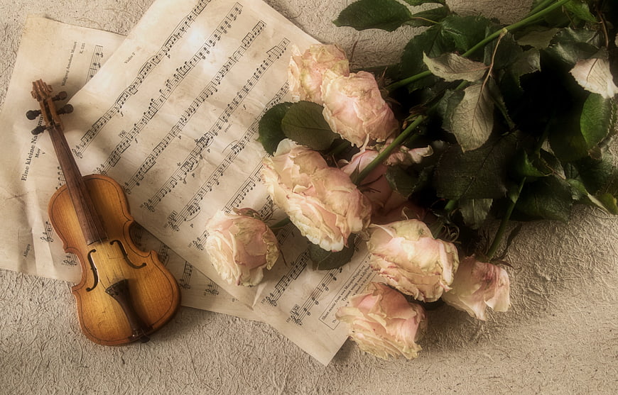 Vintage violin, sheet music, and dried roses on textured background