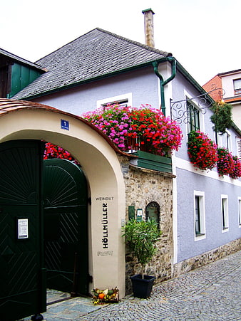 Charming Austrian Winery with Flower Boxes on Cobblestone Street