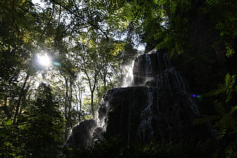 Sunlit waterfall cascading through lush green forest canopy