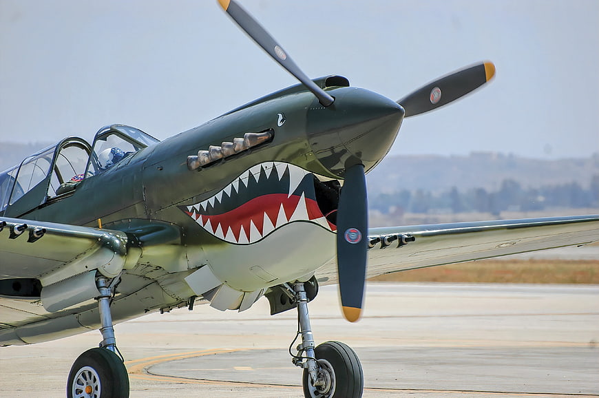 Close-up of vintage P-40 Warhawk fighter plane with shark mouth nose art