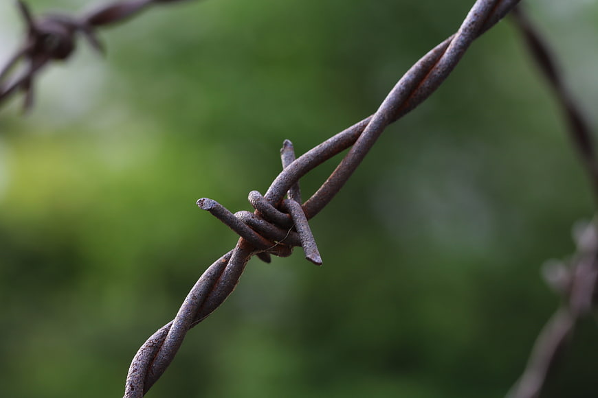 Close-up of Rusty Barbed Wire Against Blurred Green Background