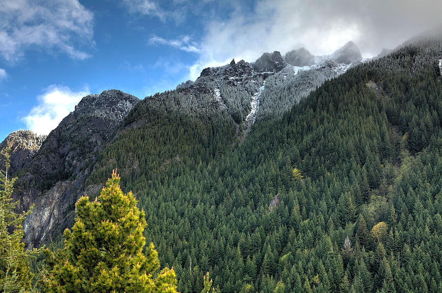 Snow-capped mountain peak with dense evergreen forest and blue sky