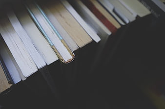 Close-up of vintage book spines on a shelf