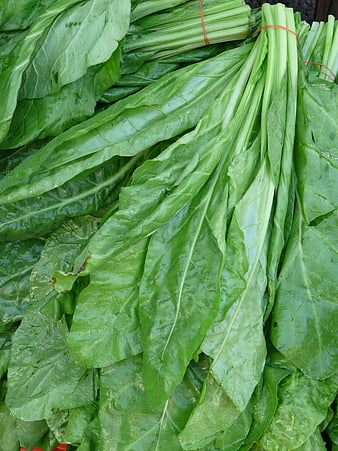 Fresh bundles of green leafy vegetables at market