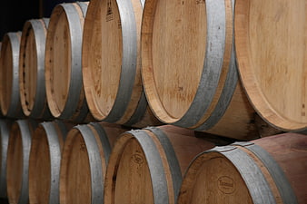 Rows of wooden wine barrels in a traditional French winery cellar