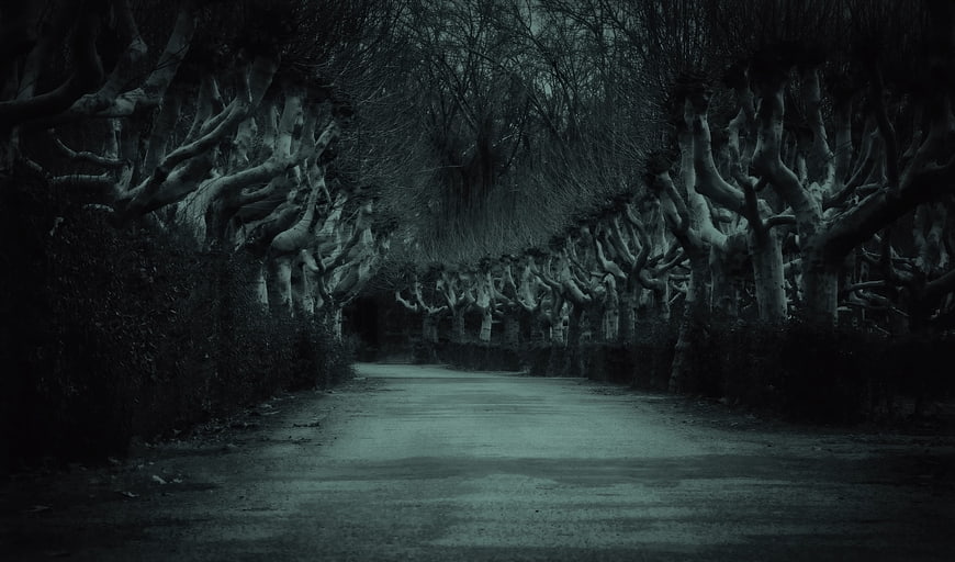 Dark Tree-Lined Avenue at Night with Mysterious Atmosphere