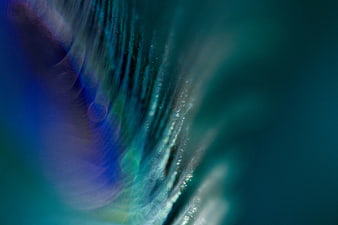 Abstract Macro Close-Up of Iridescent Peacock Feather Texture