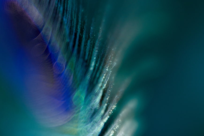 Abstract Macro Close-Up of Iridescent Peacock Feather Texture