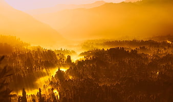 Golden Sunrise Over Misty Mountain Forest Valley