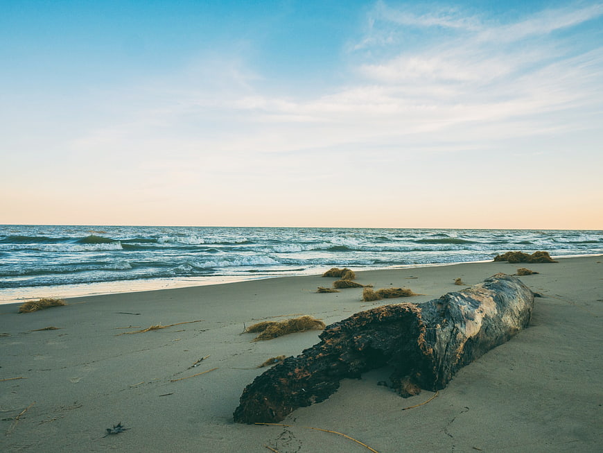 Driftwood Log on Sandy Beach with Ocean Waves and Blue Sky
