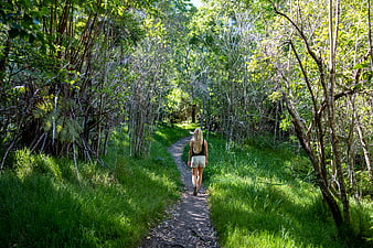 Woman hiking on forest path surrounded by green trees