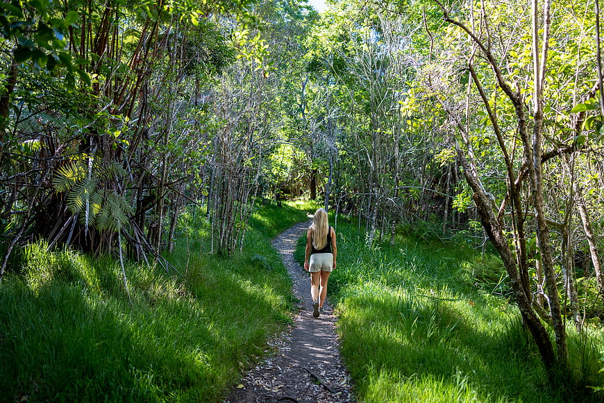Woman hiking on forest path surrounded by green trees