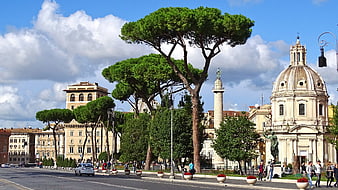 Piazza del Popolo Rome with Pine Trees and Church