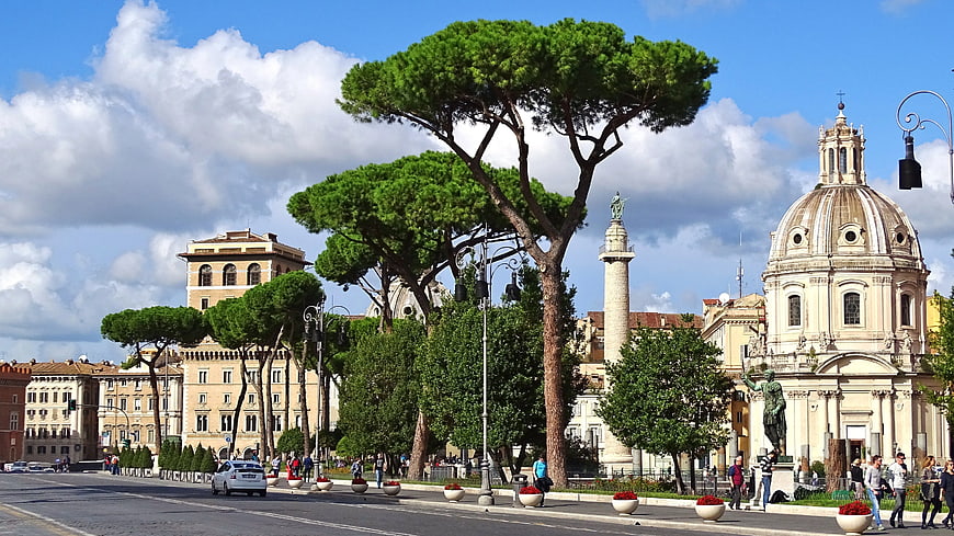 Piazza del Popolo Rome with Pine Trees and Church
