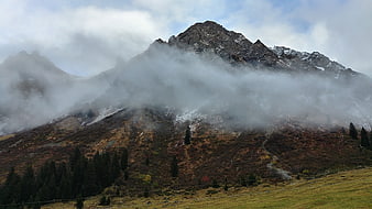Misty Mountain Peak with Autumn Foliage and Pine Trees