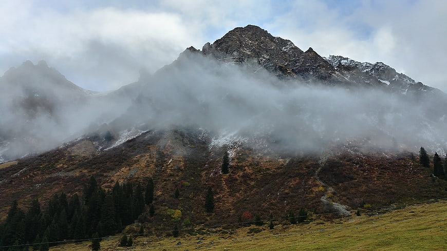 Misty Mountain Peak with Autumn Foliage and Pine Trees