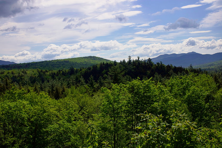 Lush Green Forest Landscape with Distant Mountains and Blue Sky