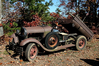 Rusty vintage dump truck in autumn forest