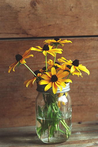 Yellow Black-Eyed Susans in Mason Jar on Wood