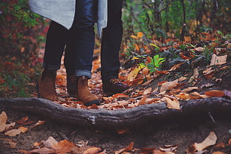 Couple Walking on Fallen Leaves in Autumn Forest