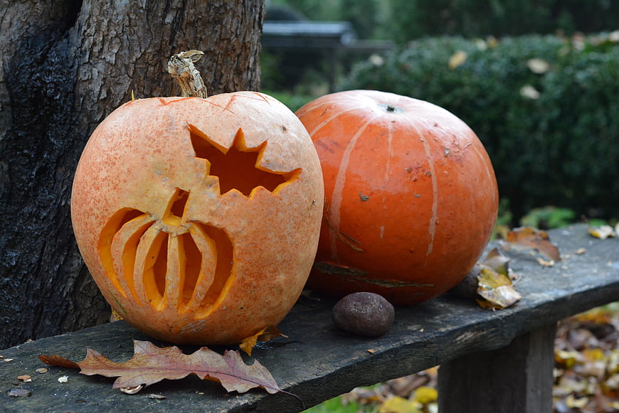 Carved Halloween Pumpkin and Whole Pumpkin on Wooden Bench