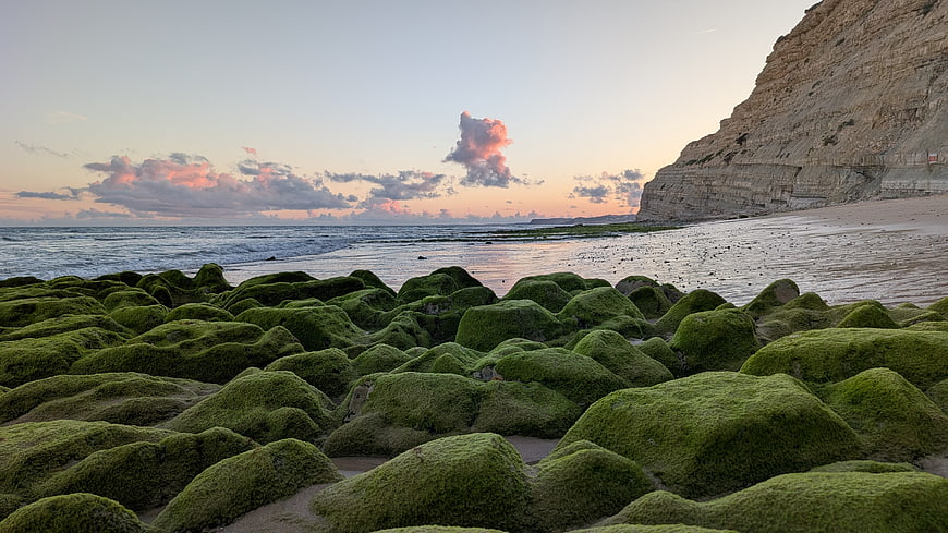 Mossy rocks on a beach at sunset with a cliff and ocean