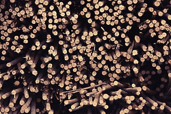 Close-up texture of stacked wooden logs and timber ends