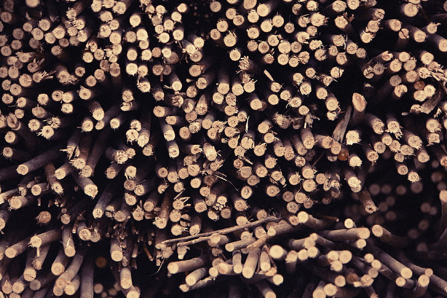 Close-up texture of stacked wooden logs and timber ends