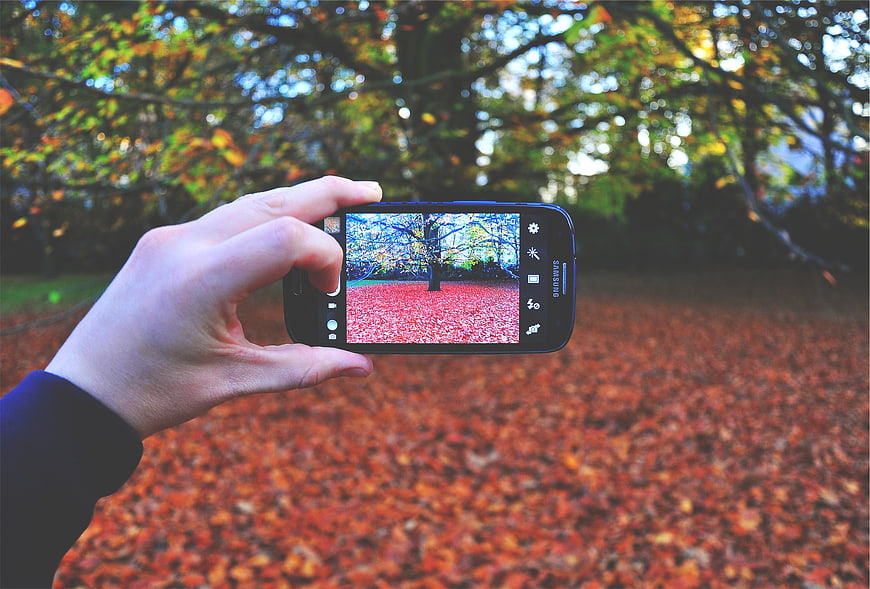 Hand holding smartphone photographing autumn leaves in park
