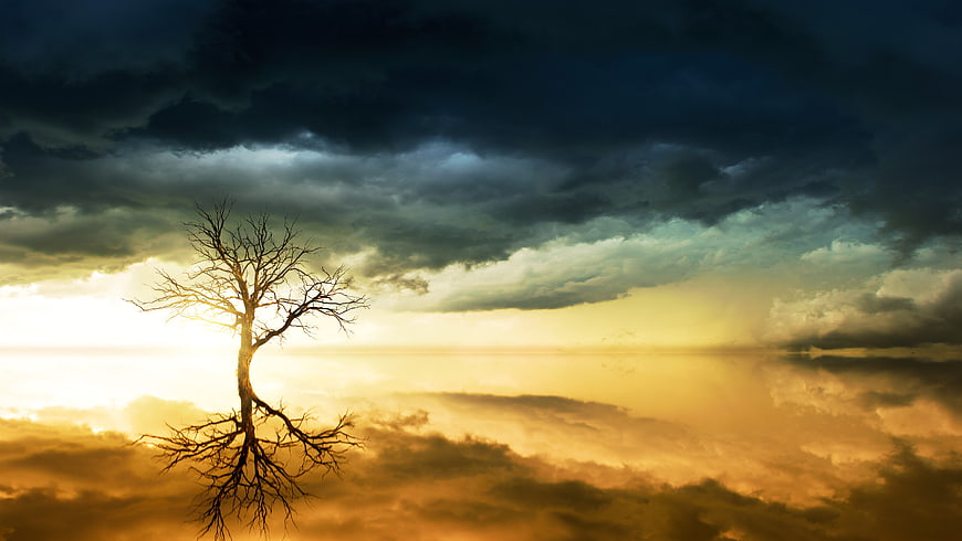 Silhouette of bare tree against dramatic sunset sky with reflection