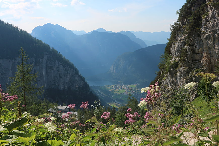 Alpine Mountain Panorama With Wildflowers And Valley View