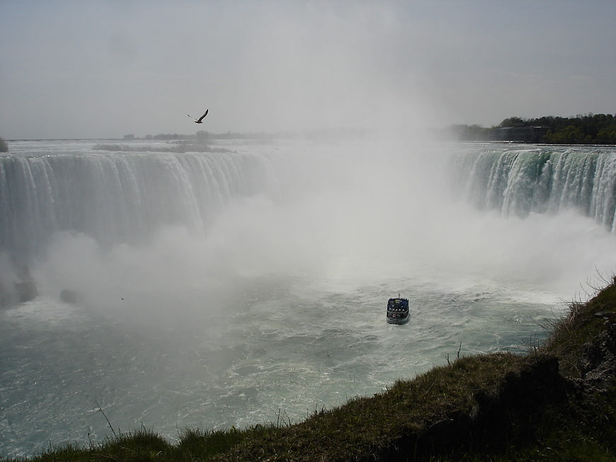 Maid of the Mist boat at Niagara Falls with seagull