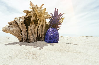 Surreal purple pineapple on sandy beach with driftwood