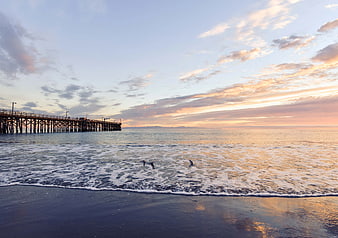 Sunset over ocean pier with seagulls flying low over waves