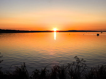 Serene Sunset Over Calm Lake with Silhouetted Reeds
