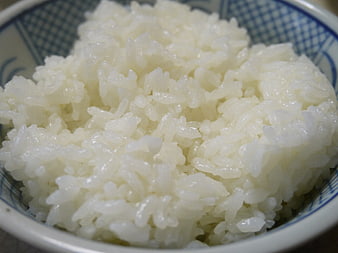 Close-up of steamed white rice in a blue patterned bowl