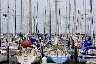 Sailboats docked in a crowded marina with masts