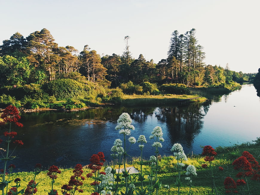 Serene River Landscape with Red and White Flowers in Foreground