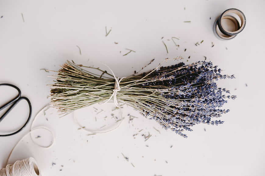 Flat lay of dried lavender bouquet with crafting tools on white background