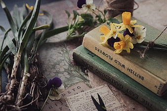 Vintage gardening books with daffodils and pansies still life