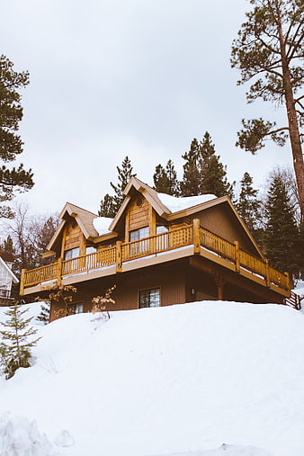 Cozy wooden cabin on snowy hill in winter forest