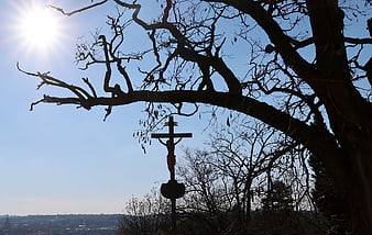 Silhouette of crucifix under bare tree branches against blue sky