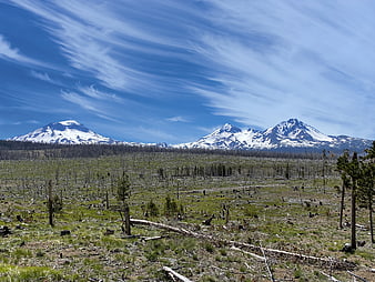 Snow-capped mountains rising above a recovering forest landscape