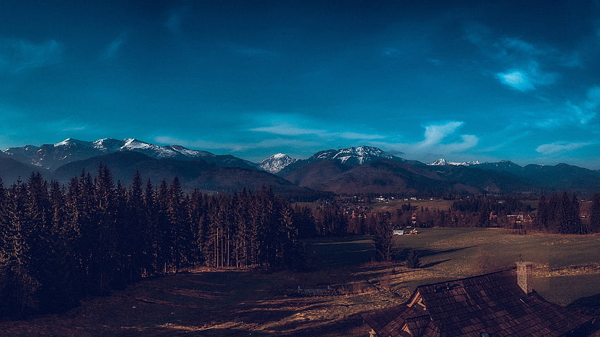 Panoramic mountain landscape with snowy peaks and forest