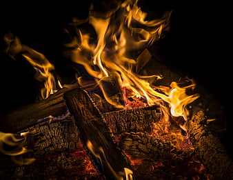 Close-up of burning wood logs with bright orange flames and glowing embers