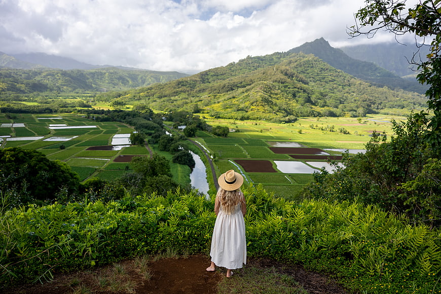 Woman in White Dress Viewing Lush Rice Terraces