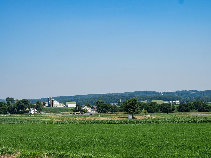 Green agricultural fields with farm buildings and blue sky